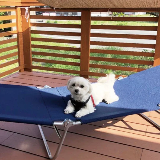 お庭がドッグスペースに変身！ウッドデッキリノベーション