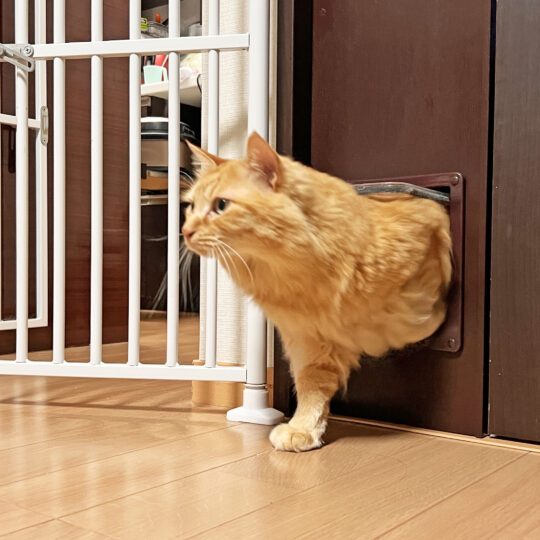 引き戸にキャットドアを取り付けるための特殊パーツ施工